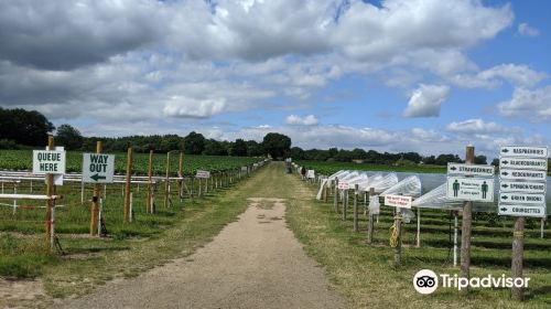 Parkside Farm Pick Your Own