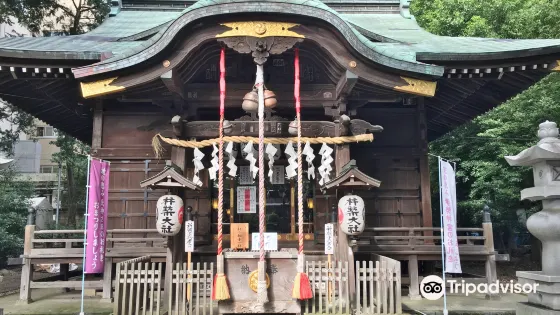 Kizikitaijya