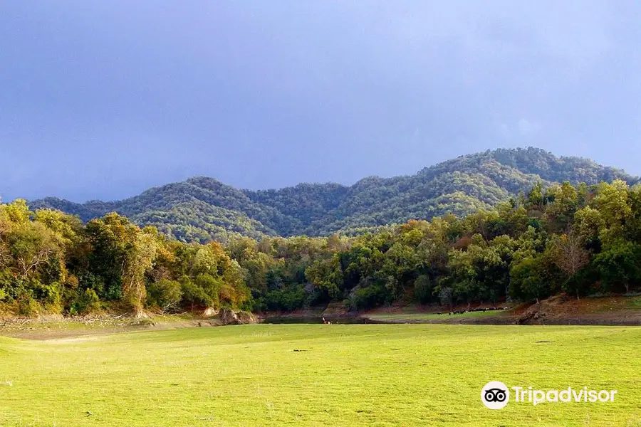 Sonanadi Wildlife Sanctuary