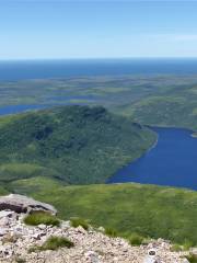 Gros Morne Mountain (James Callaghan) Trail