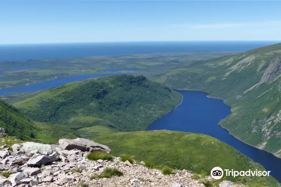 Gros Morne Mountain (James Callaghan) Trail