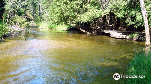 Boardman River