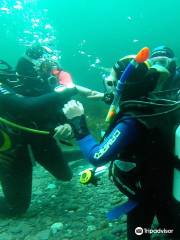 Dingle Marina Dive Centre