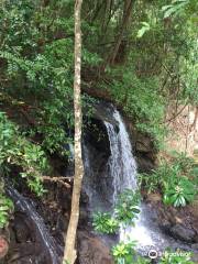 Lomas de Barbudal Biological Reserve