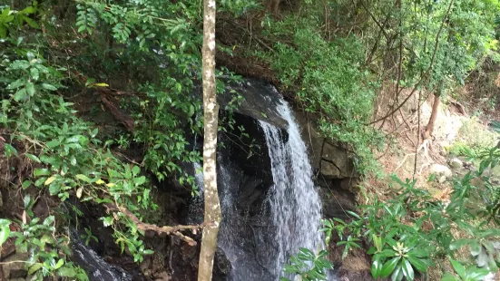 Lomas de Barbudal Biological Reserve