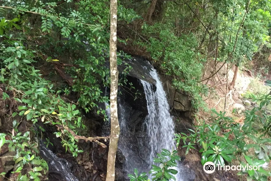 Lomas de Barbudal Biological Reserve