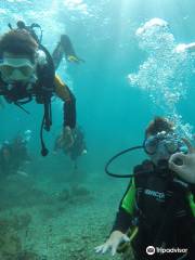 Diving Salou