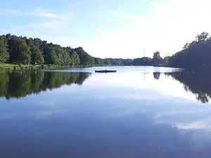 Lac de Creutzwald