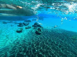 Get Up And Go Kayaking - Rainbow Springs