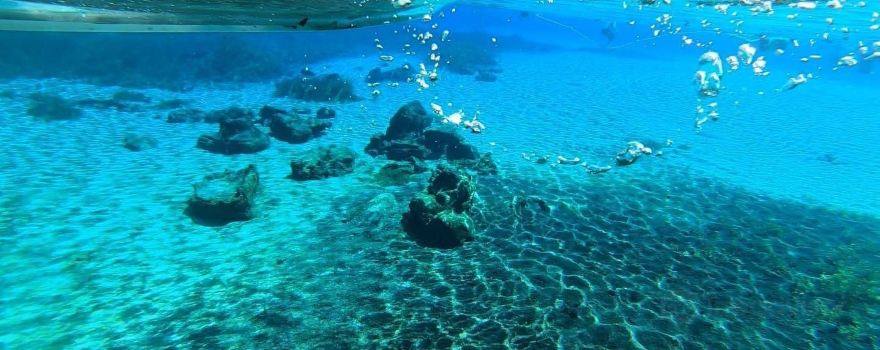 Get Up And Go Kayaking - Rainbow Springs