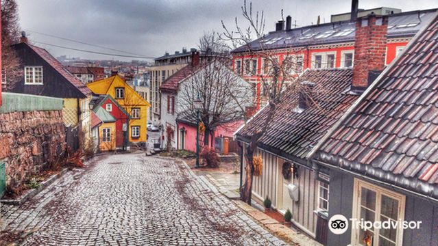 Damstredet and Telthusbakken