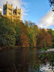 Riverside walk