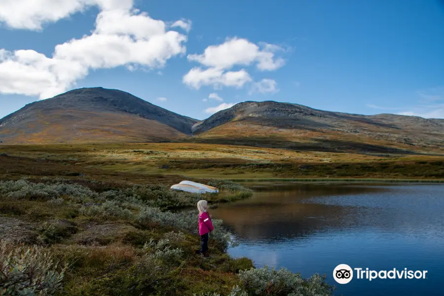 Hemsedal Tourist