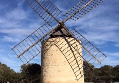 Le Moulin du Bonheur