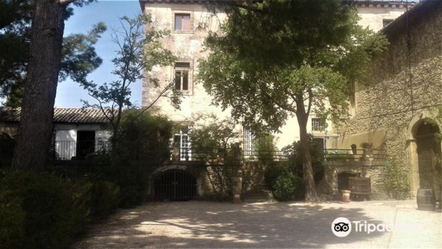 Chateau Saint-Pierre d'Escarvaillac