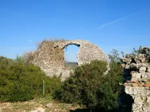 Roman Town of Cosa