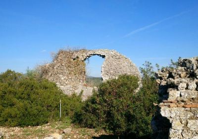 Roman Town of Cosa