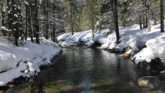 Donner Memorial State Park and Emigrant Trail Museum