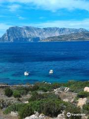 Spiaggia Capo Coda Cavallo