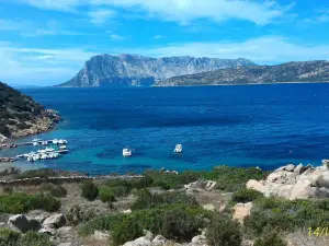 Spiaggia Capo Coda Cavallo