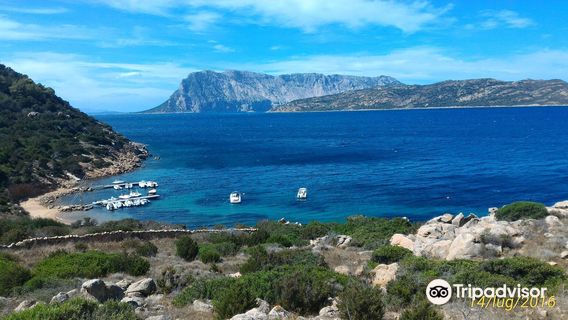 Spiaggia Capo Coda Cavallo