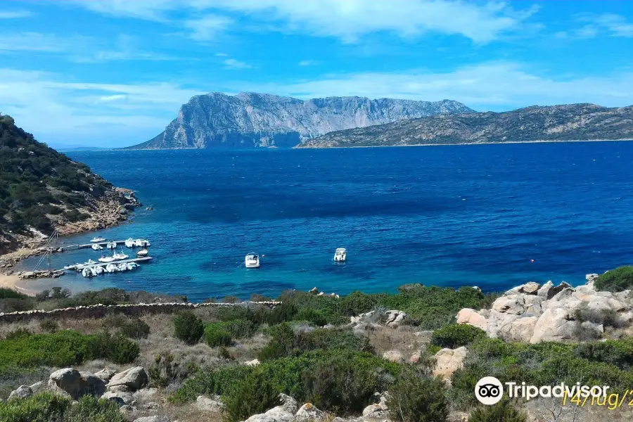 Spiaggia Capo Coda Cavallo