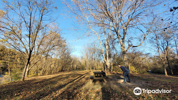 Wilderness Canoe Company