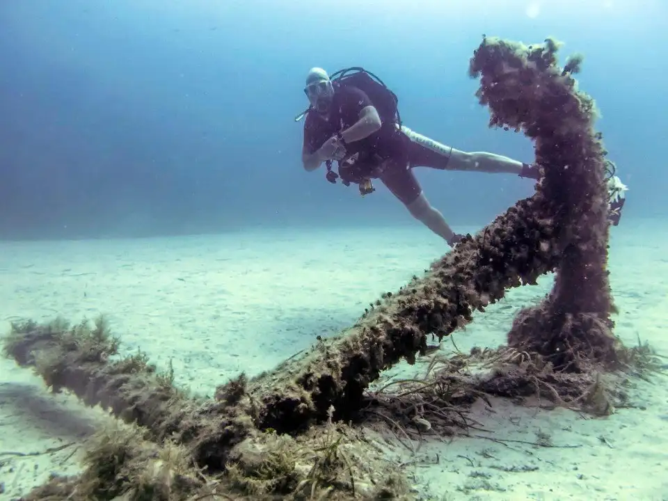 1_Dawn Diving