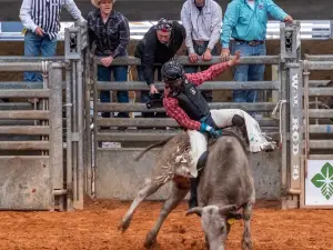 Arcadia All-Florida Championship Rodeo