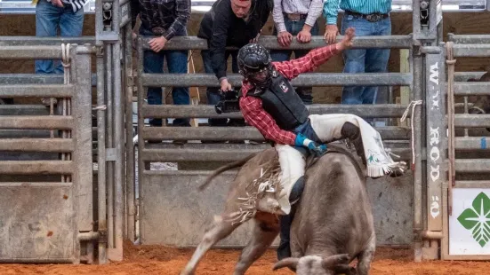 Arcadia All-Florida Championship Rodeo