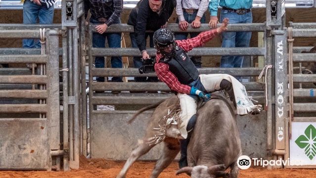 Arcadia All-Florida Championship Rodeo