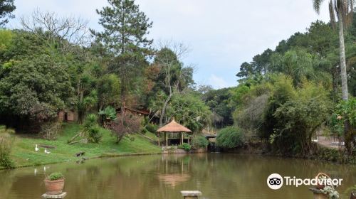 Vila dos Coelhos