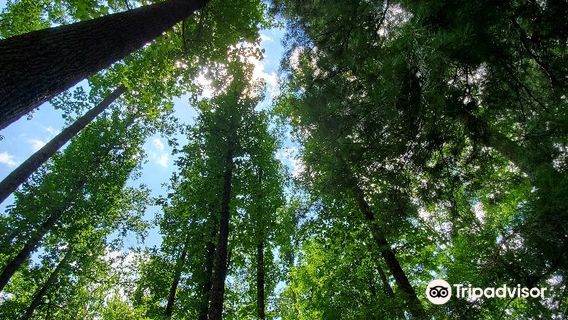 Clifty Falls State Park