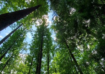 Clifty Falls State Park