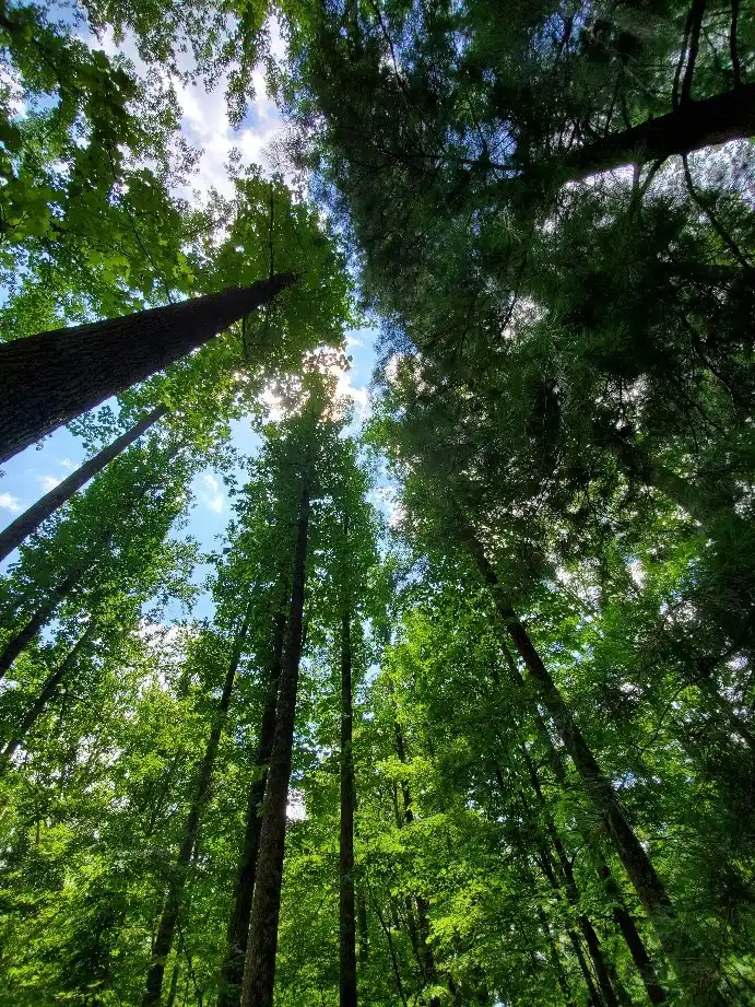 Các khách sạn gần Clifty Falls State Park