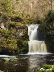 The Linn Falls