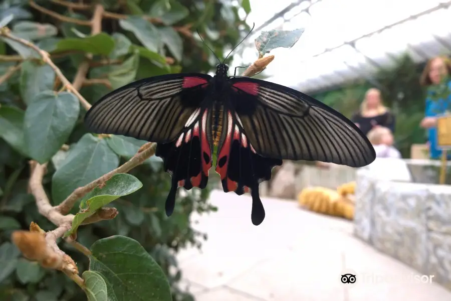 Bugtopia Hornsea Zoo