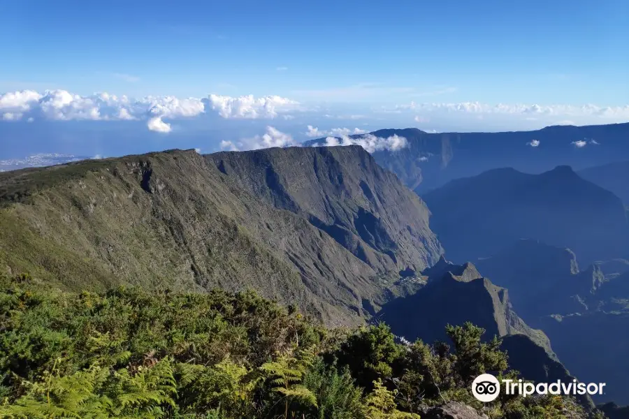 Piton Maïdo