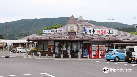Roadside Station Hanakaido Tsukechi
