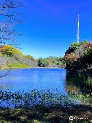 神奈川縣立三池公園