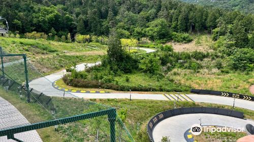 Skyline Luge Tongyeong