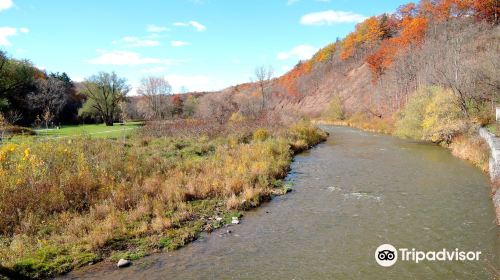 Lions Valley Park