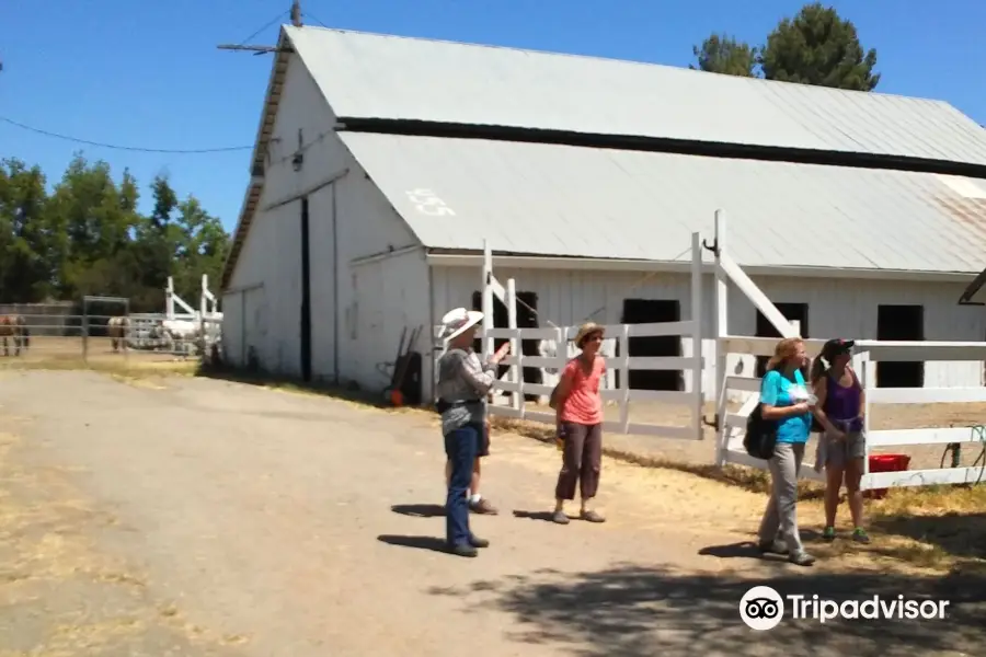 Hagemann Ranch