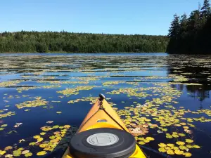 Fundy National Park Of Canada