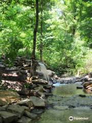 Brizendine Brothers Nature Park