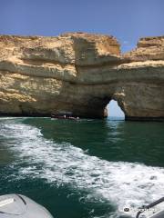 Ocean Tours Oman