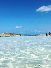 Parque Natural de Ses Salines