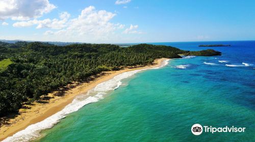 Playa Lanza del Norte