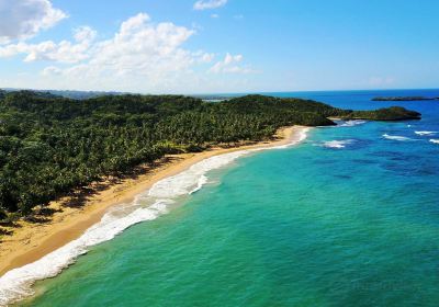 Playa Lanza del Norte