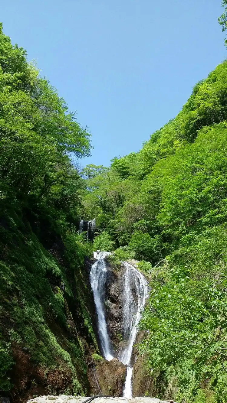 우산국박물관 주변 호텔